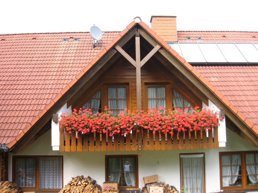 Hotel Gaestehaus Faller Feldberg  Exterior foto